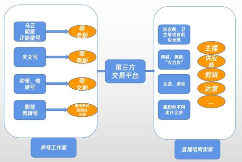 快手電商帝國雛形初顯，抖音該如何迎戰(zhàn)電商廣告