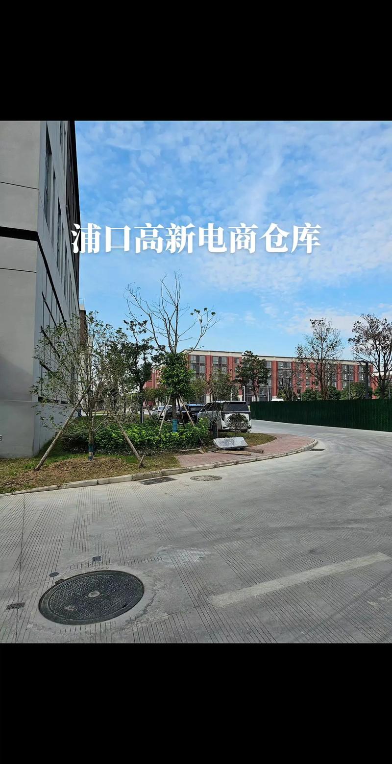 浦口高新電商倉庫 助力區域電商廣告高效投放